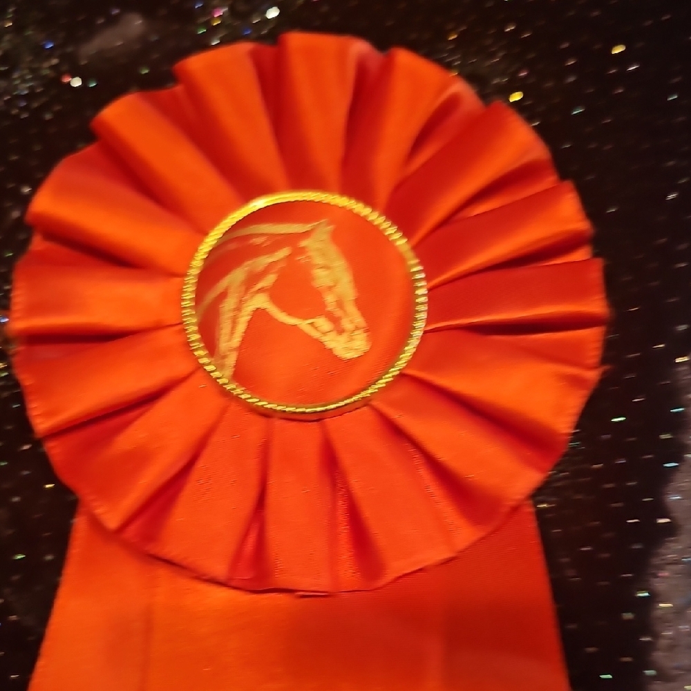 3 original from 1965 1967 NM Albuquerque State Fair Horse Show ribbons rosettes - Picture 8 of 13